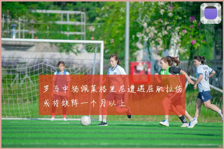 罗马中场佩莱格里尼遭遇屈肌拉伤或将缺阵一个月以上