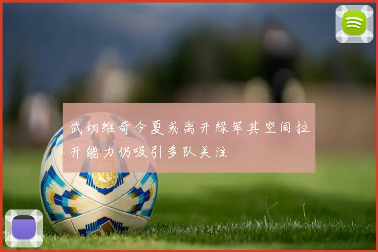 武切维奇今夏或离开绿军其空间拉开能力仍吸引多队关注